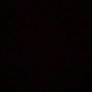 Meet your Posher, Gabby